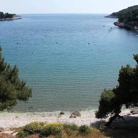 Apartment By The Sea Cove Saplunara, Mljet - 4948 Saplunara